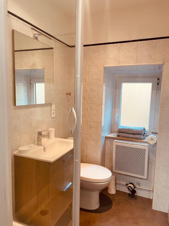 Le Coin Cosy L Balcon Apartment Castres  Bagian luar foto
