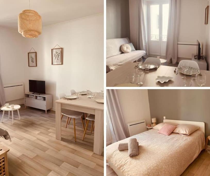 Le Coin Cosy L Balcon Apartment Castres  Bagian luar foto